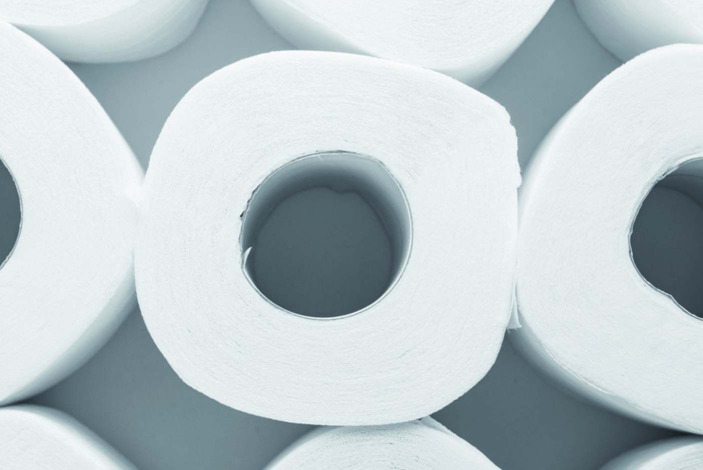 Eco friendly Toilet Paper: independent guide from Ethical Consumer.